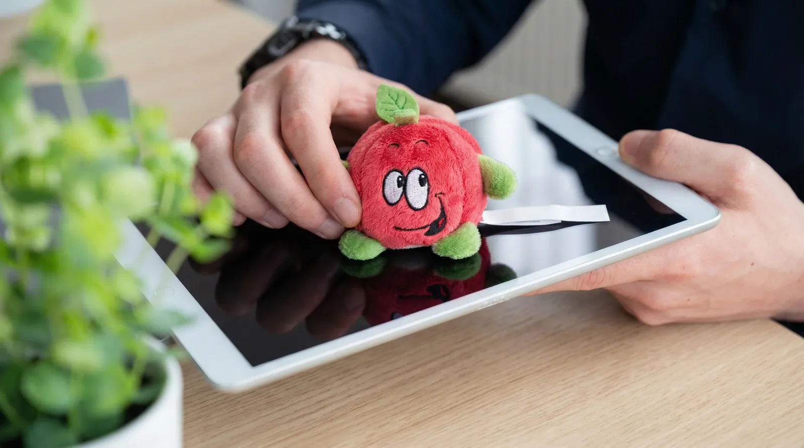 Schmoozies® Apfel, rot – Bild 7