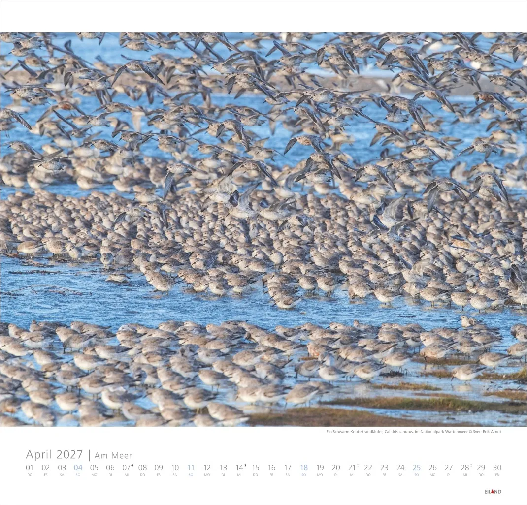 Am Meer Edition Wandkalender 2027 – Bild 5