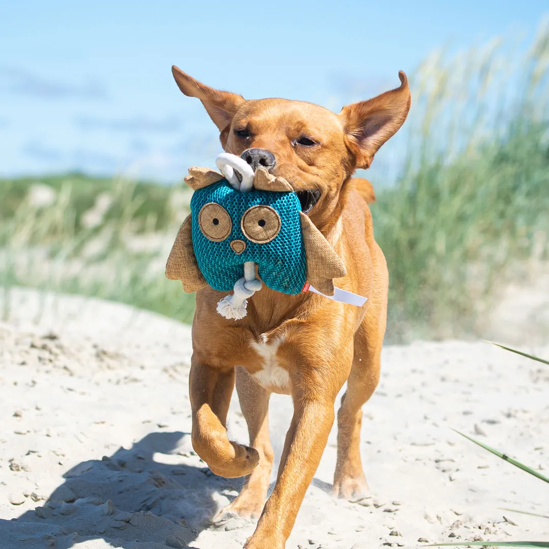 Hundespielzeug Eule, blau – Bild 4