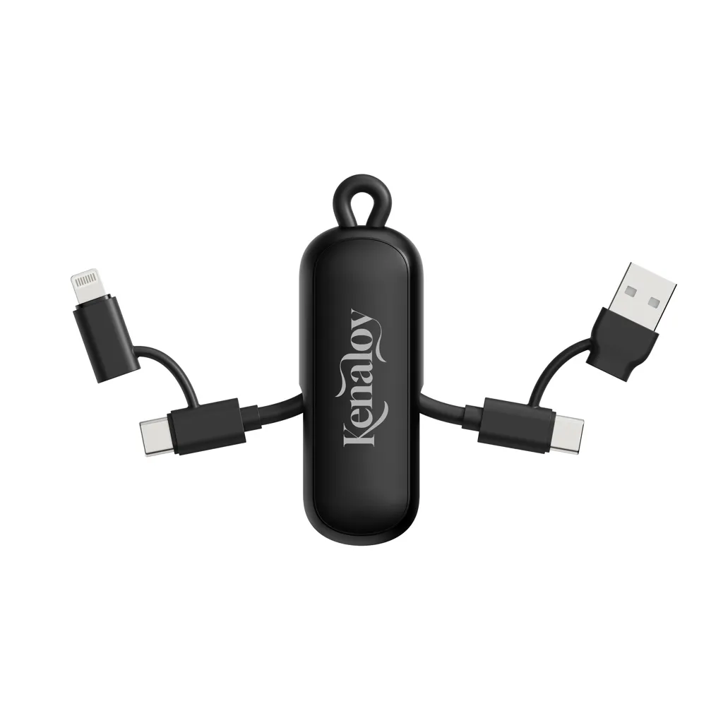Urban Vitamin Dublin 100W 4-in-1-Kabel am Schlüsselanhänger, schwarz – Bild 8