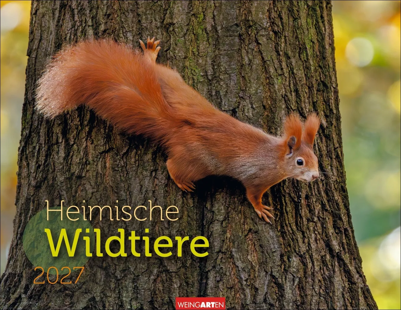 Heimische Wildtiere Wandkalender 2027