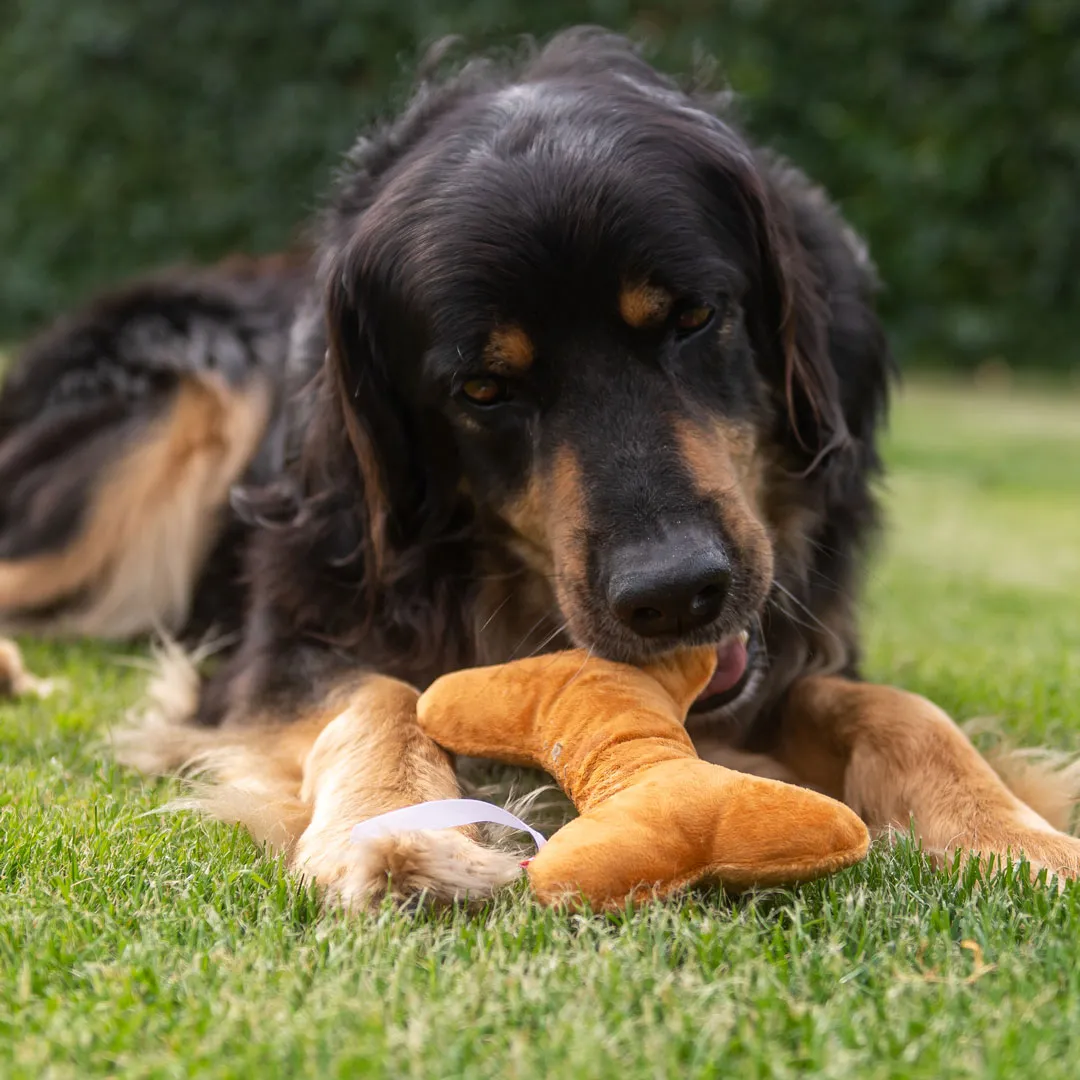 Hundespielzeug Knochen, braun – Bild 2
