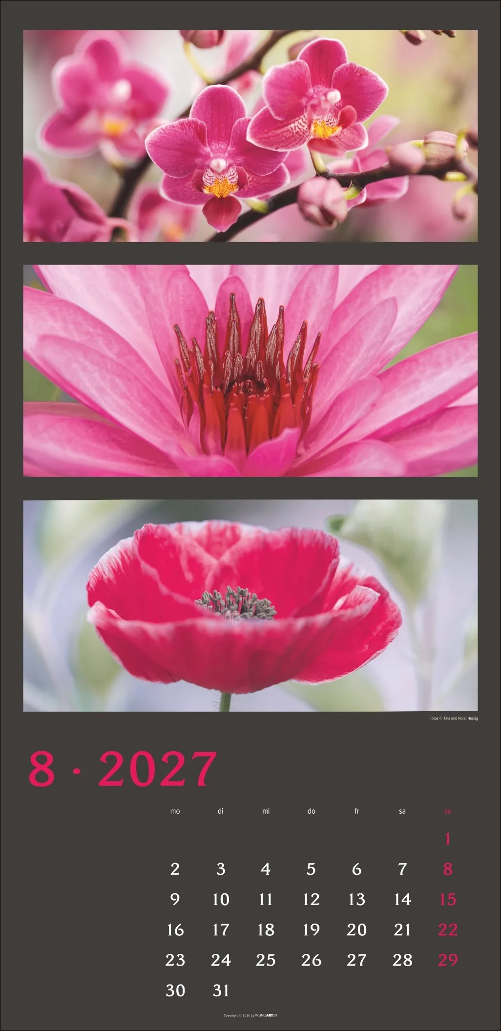 Die Farben der Natur Wandkalender 2027 – Bild 9