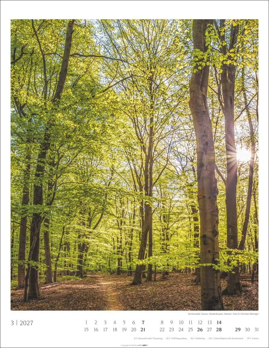 Heimische Wälder Wandkalender 2027 – Bild 4