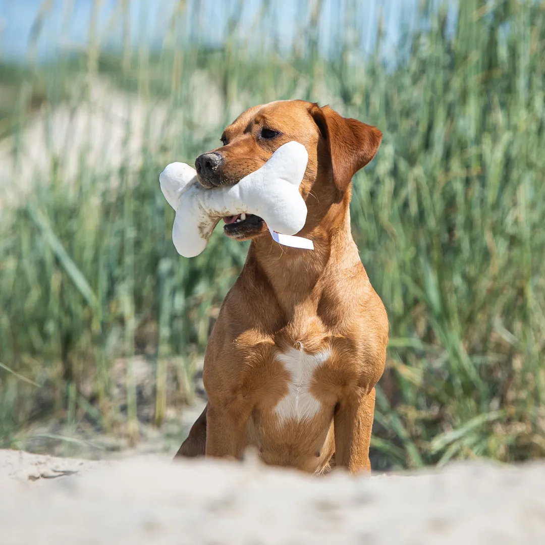 Hundespielzeug Knochen, creme – Bild 2