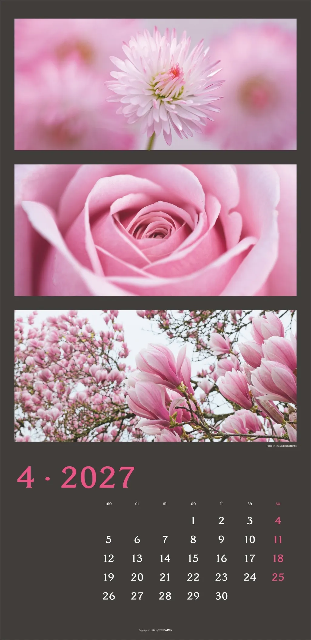 Die Farben der Natur Wandkalender 2027 – Bild 5