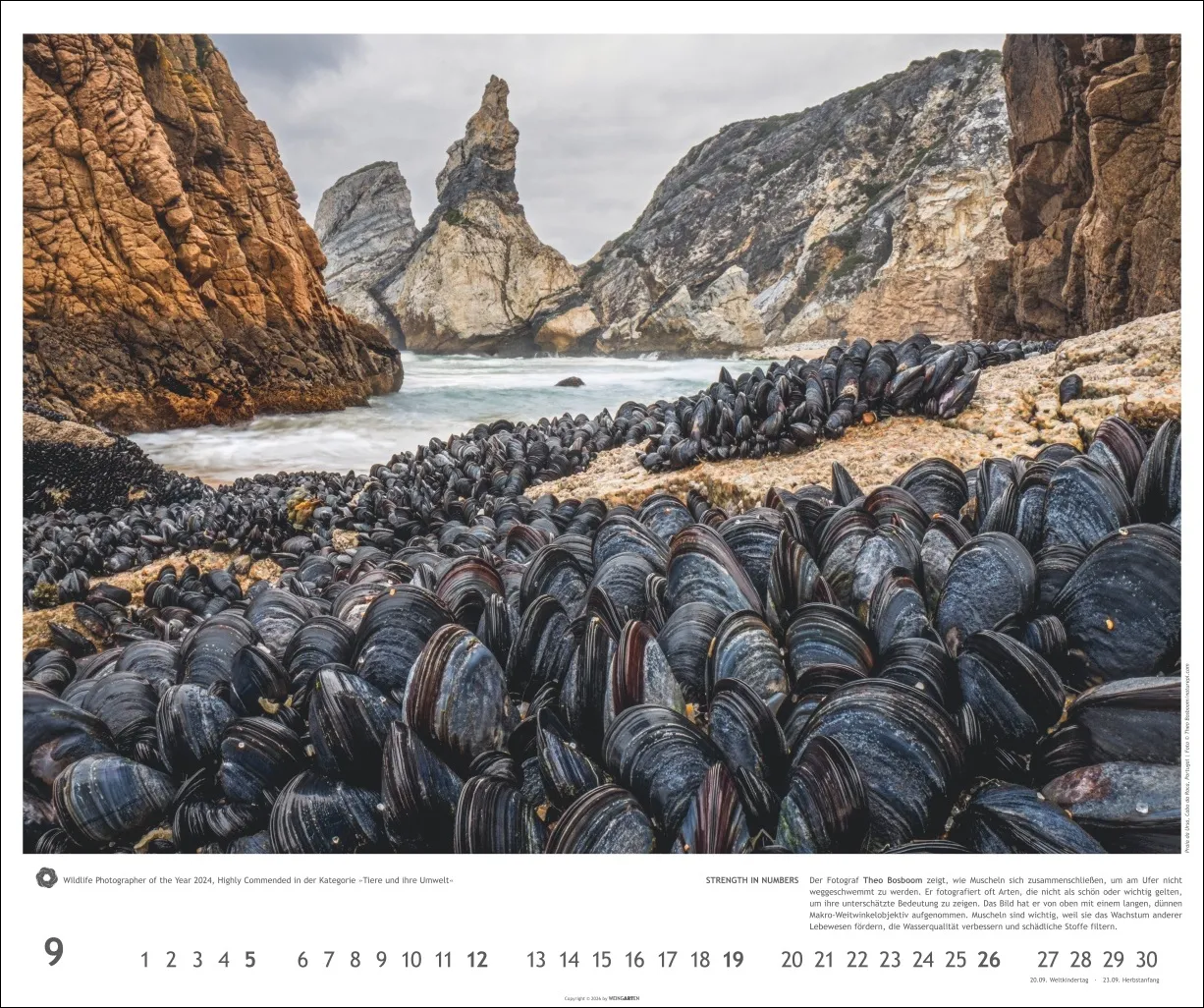 Meisterwerke der Natur Wandkalender 2027 – Bild 10