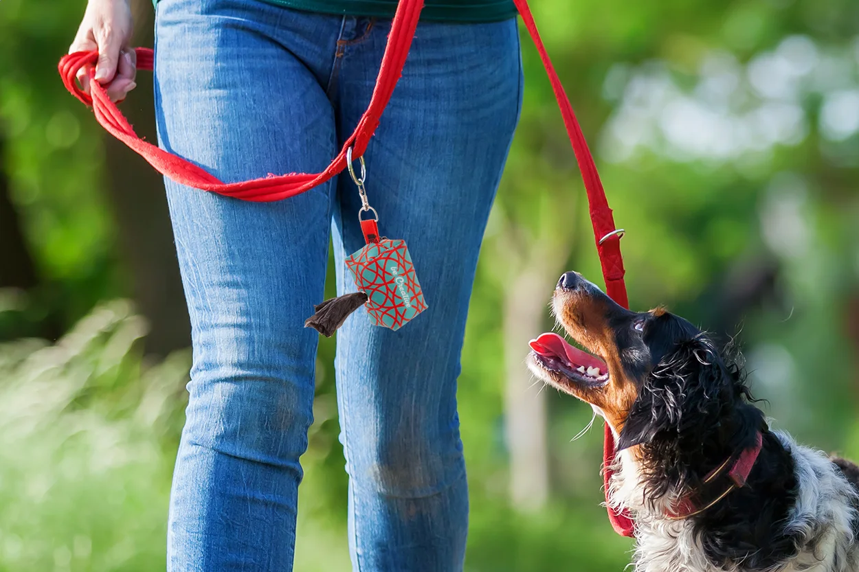 Individueller RPET Hundebeutelspender Pavesave, weiß – Bild 6