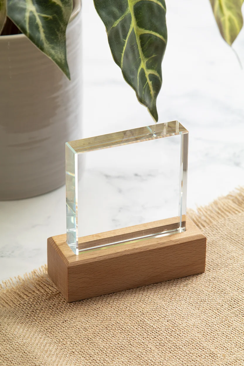 Trophäe Rectofi, natur, transparent – Bild 6