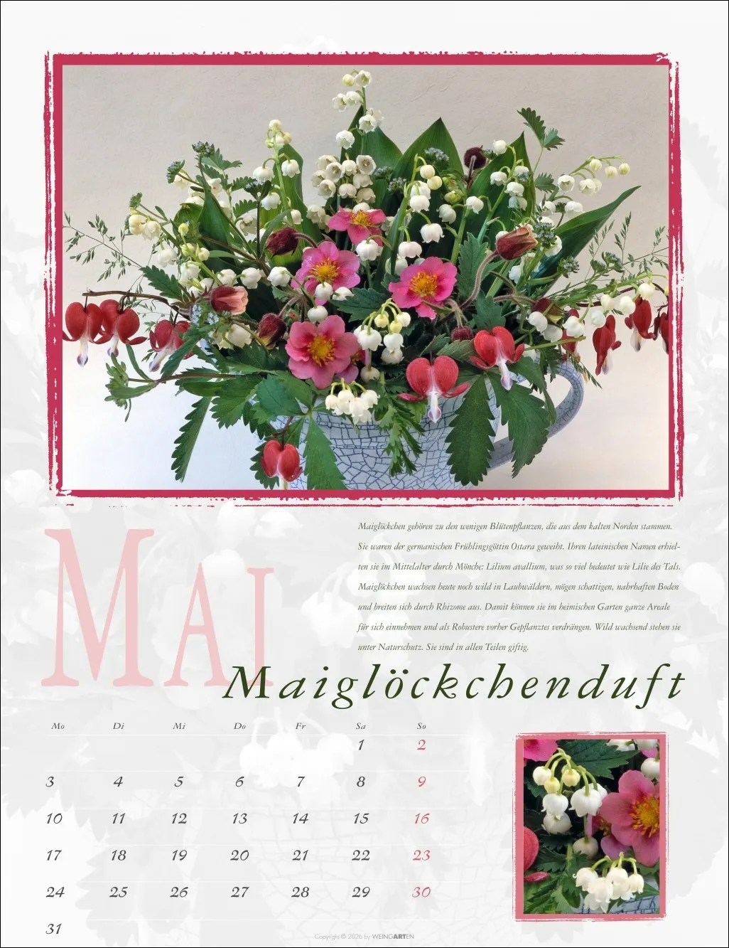 Duftkalender 2027 – Bild 6