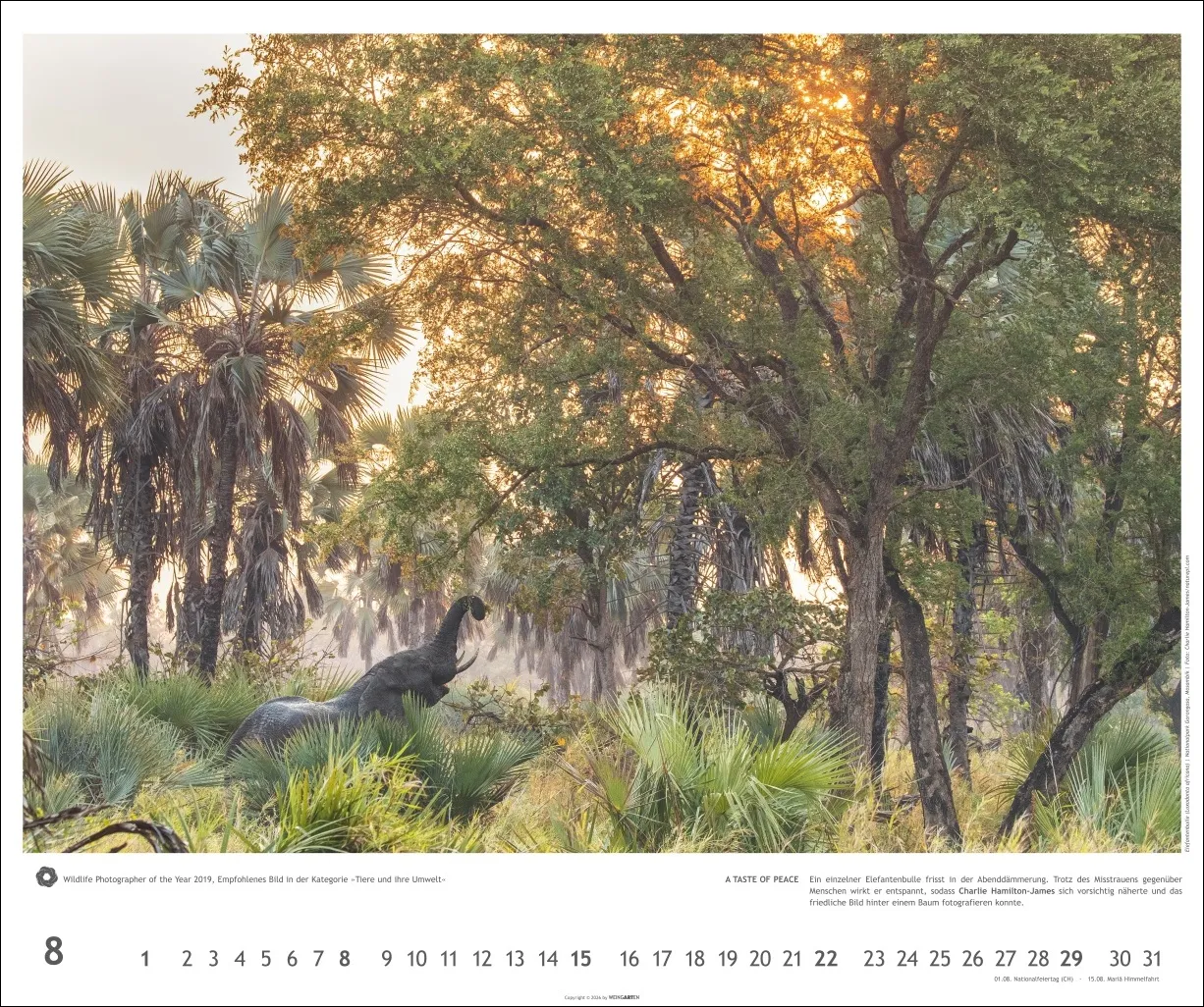 Meisterwerke der Natur Wandkalender 2027 – Bild 9