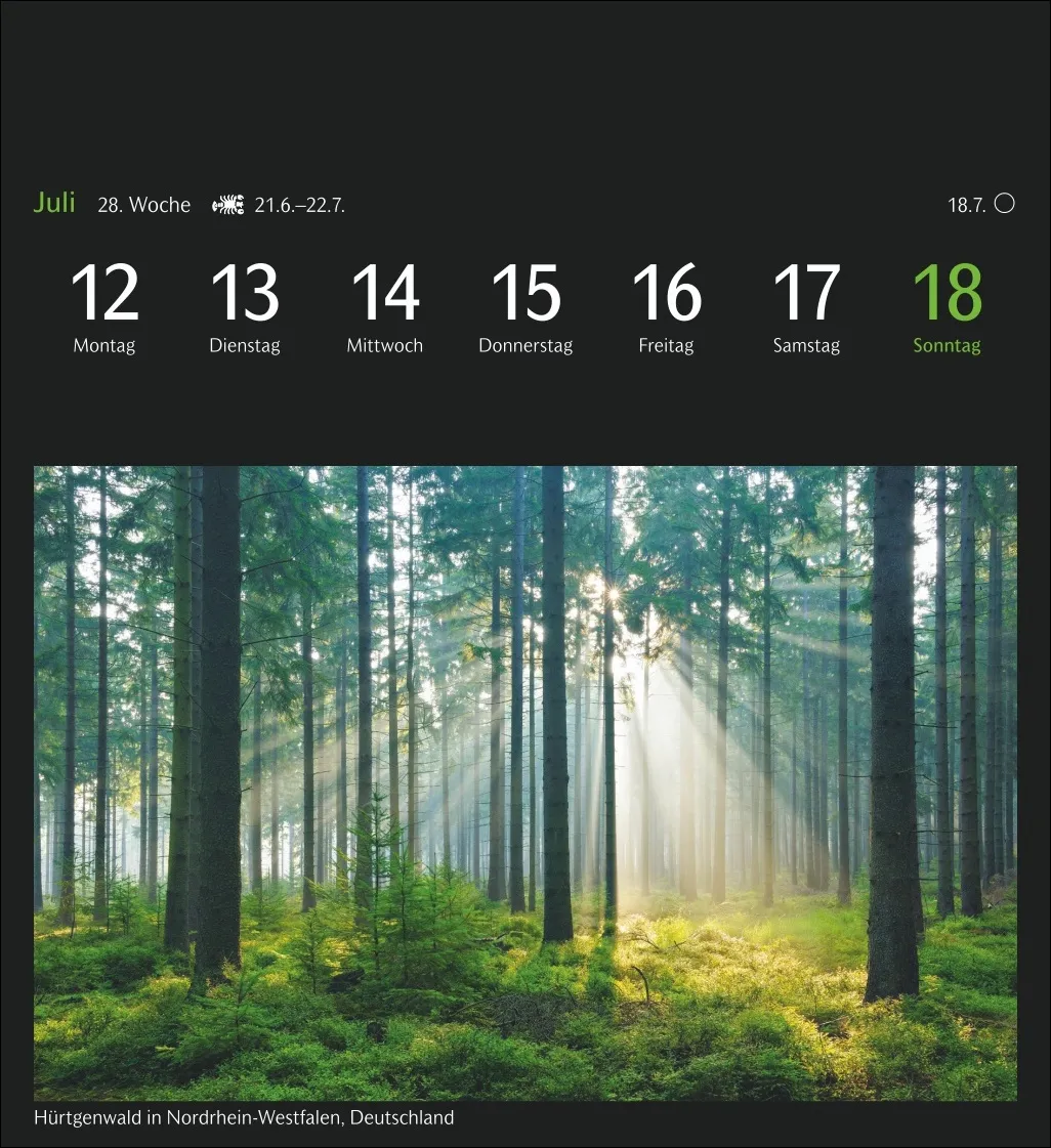GEO Magische Natur Postkartenkalender 2027 – Bild 10