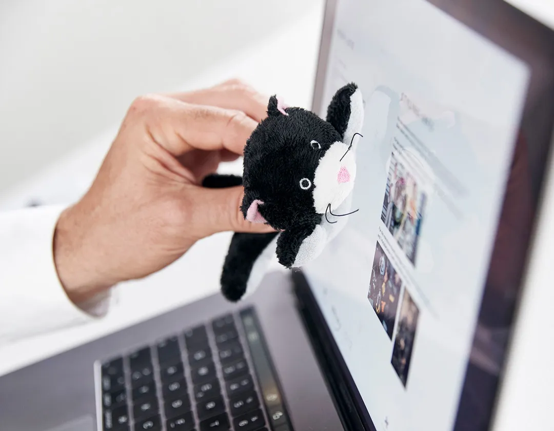 Bildschirmreiniger Katze, schwarz – Bild 3