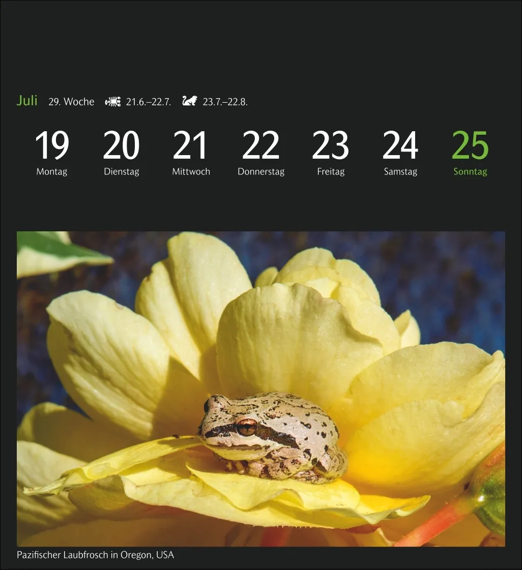 GEO Magische Natur Postkartenkalender 2027 – Bild 11