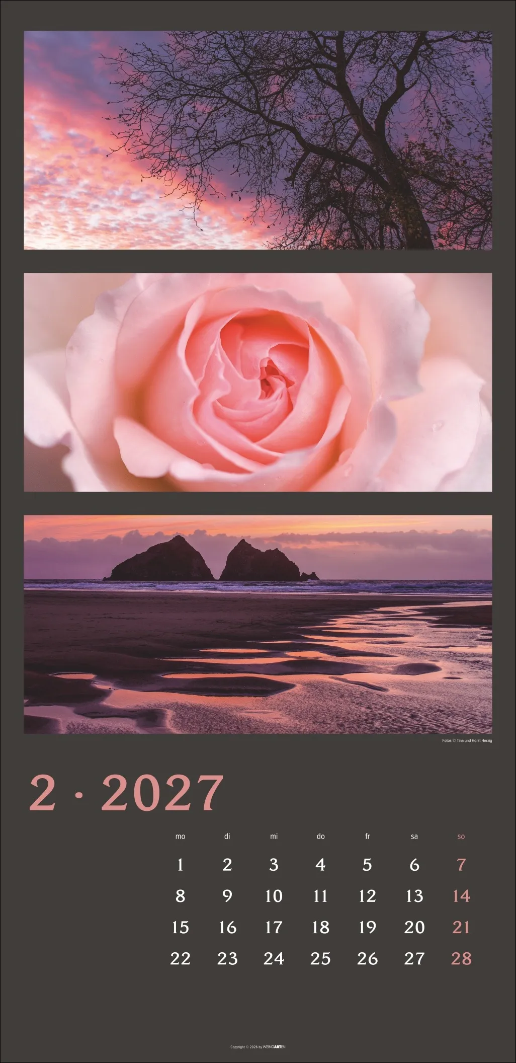 Die Farben der Natur Wandkalender 2027 – Bild 3