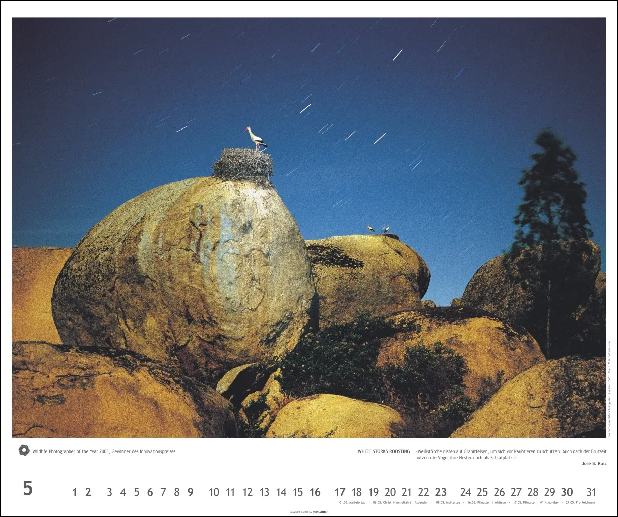 Meisterwerke der Natur Wandkalender 2027 – Bild 6