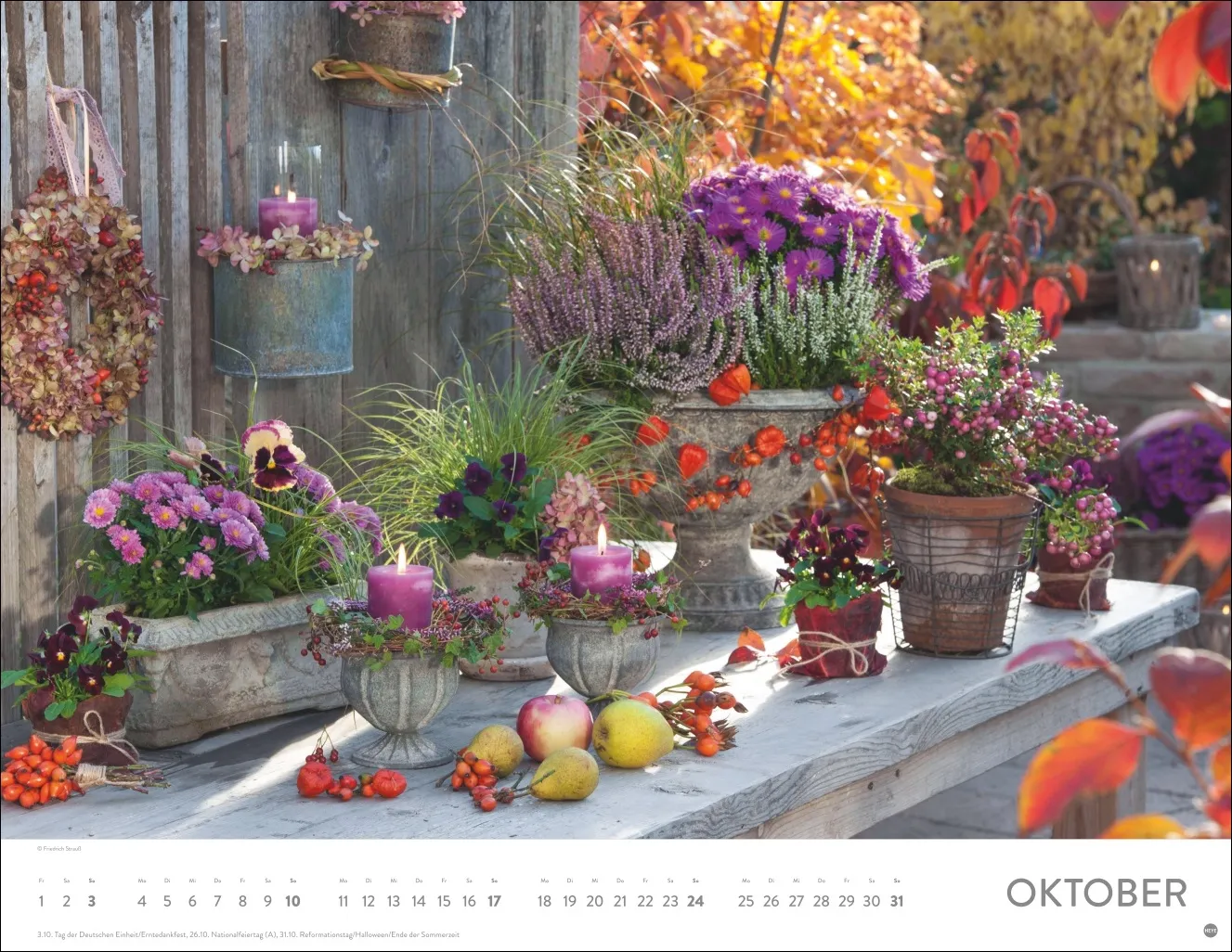 Gartenparadies Posterkalender 2027 – Bild 11