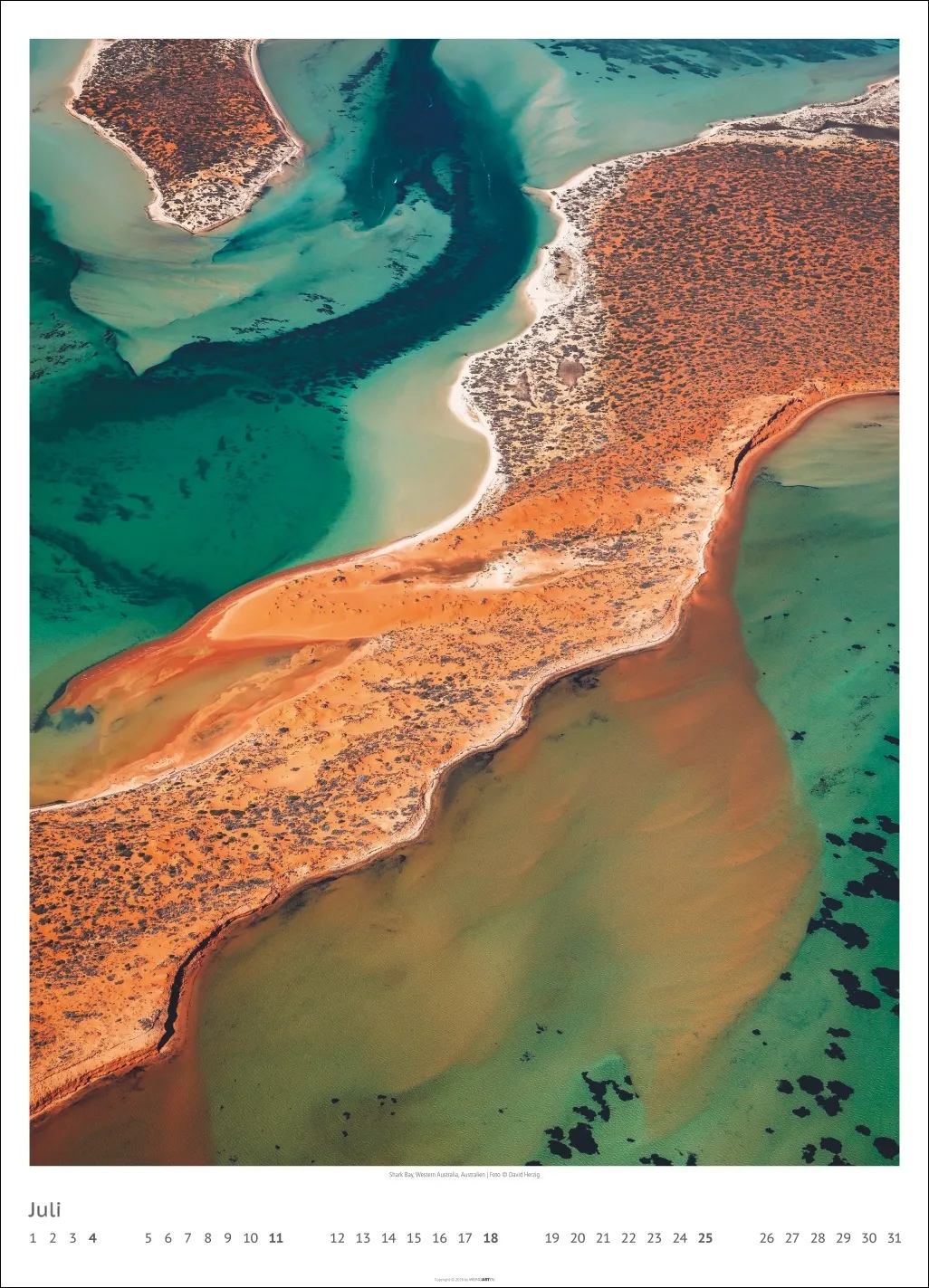 Art of Nature Wandkalender 2027 – Bild 8