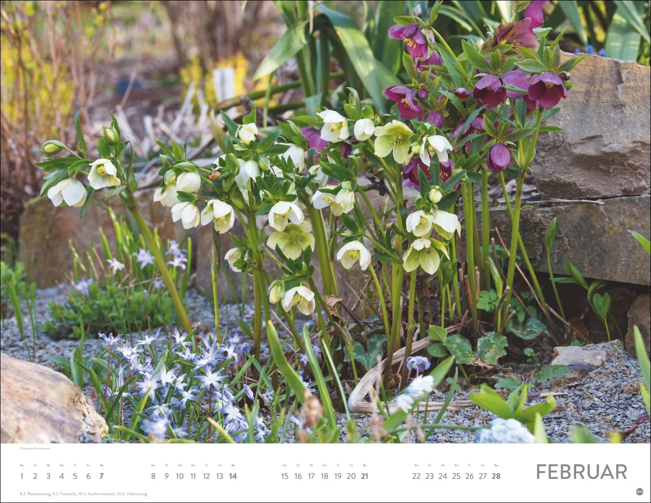 Gartenparadies Posterkalender 2027 – Bild 3