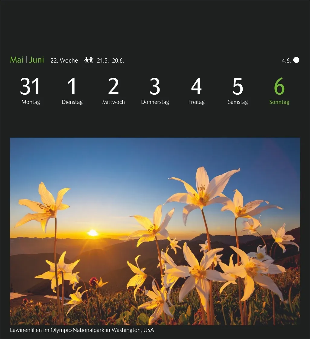GEO Magische Natur Postkartenkalender 2027 – Bild 4