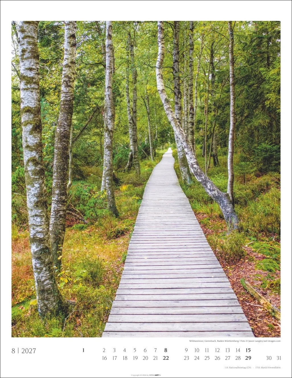 Heimische Wälder Wandkalender 2027 – Bild 9