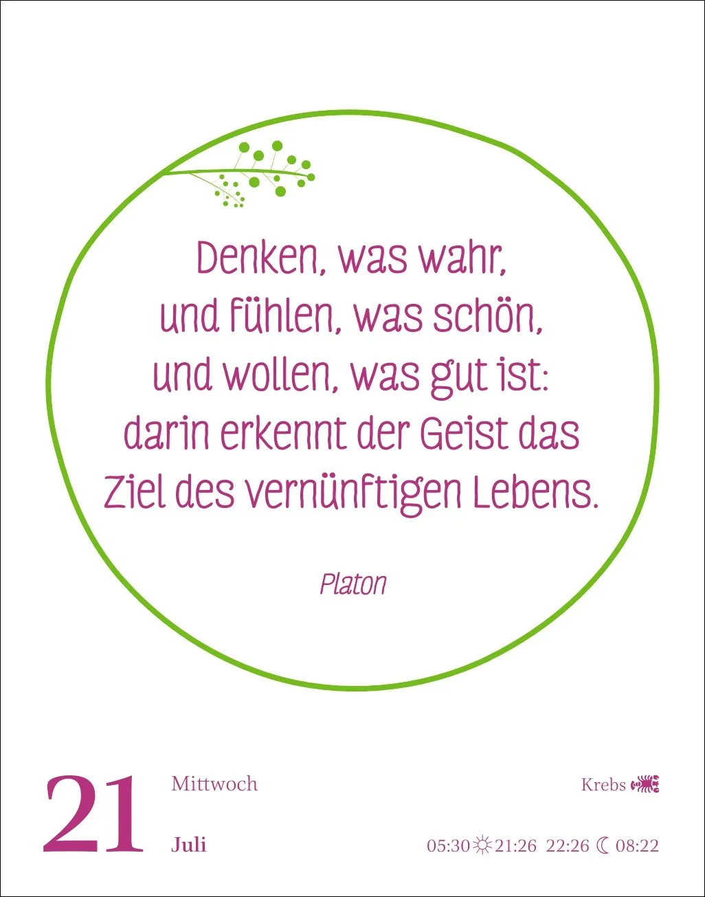 Heute ist dein Tag! Tagesabreißkalender 2027 – Bild 13
