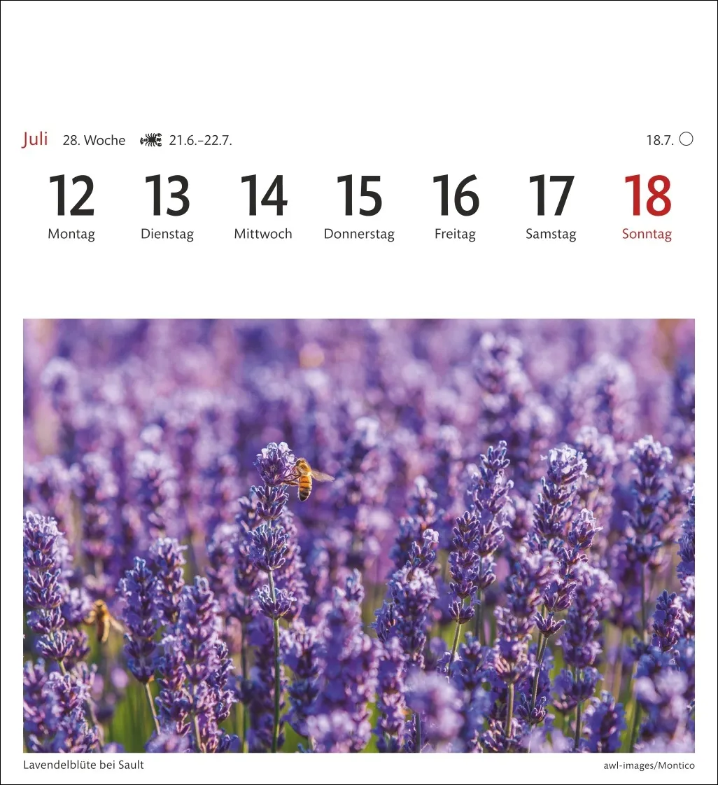 Provence Sehnsuchtskalender 2027 – Bild 10