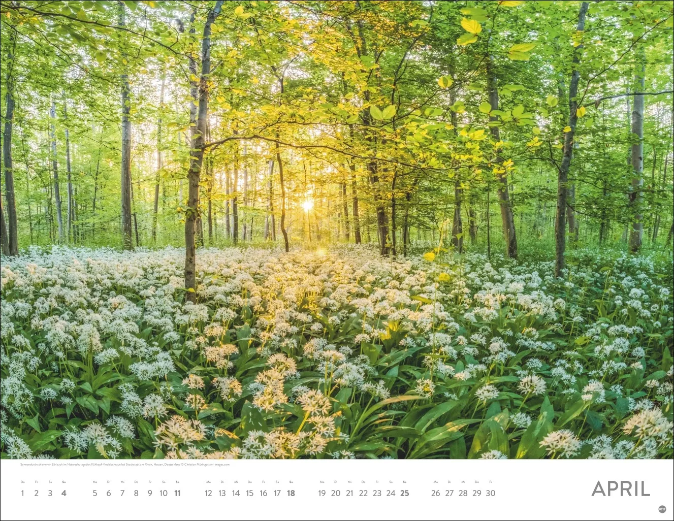 Sonnenzauber Posterkalender 2027 – Bild 5