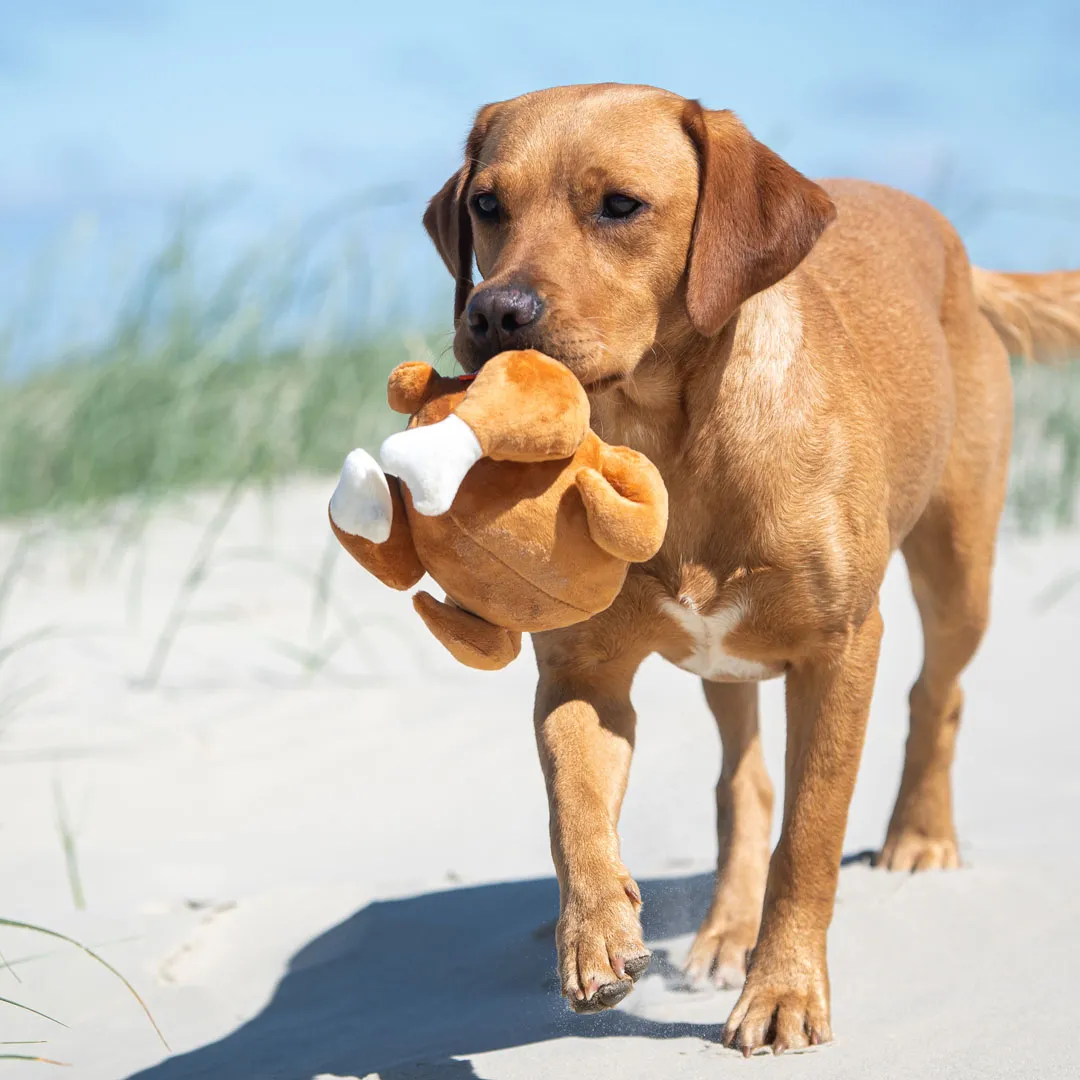 Hundespielzeug Hähnchen, braun – Bild 6
