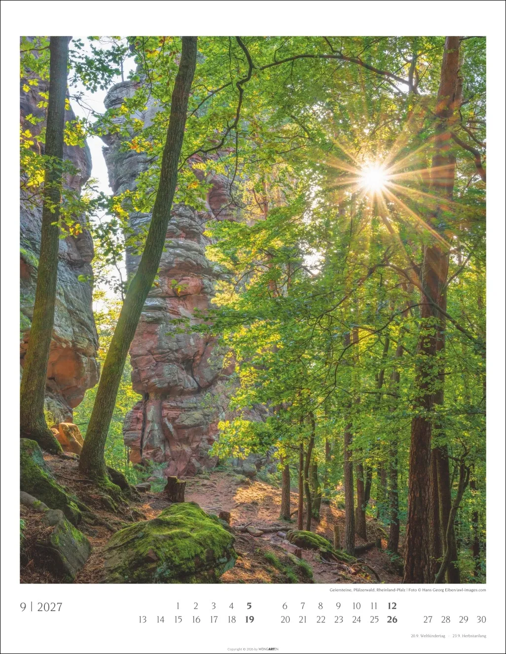Heimische Wälder Wandkalender 2027 – Bild 10