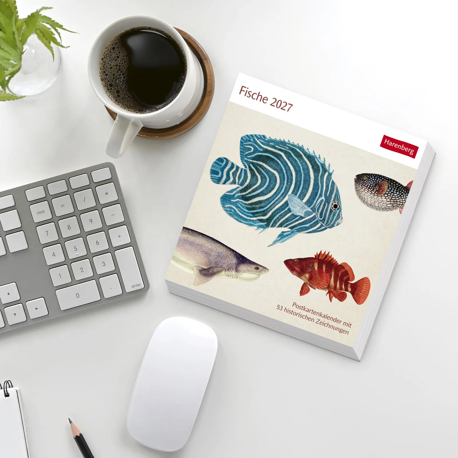 Fische Postkartenkalender 2027 – Bild 14