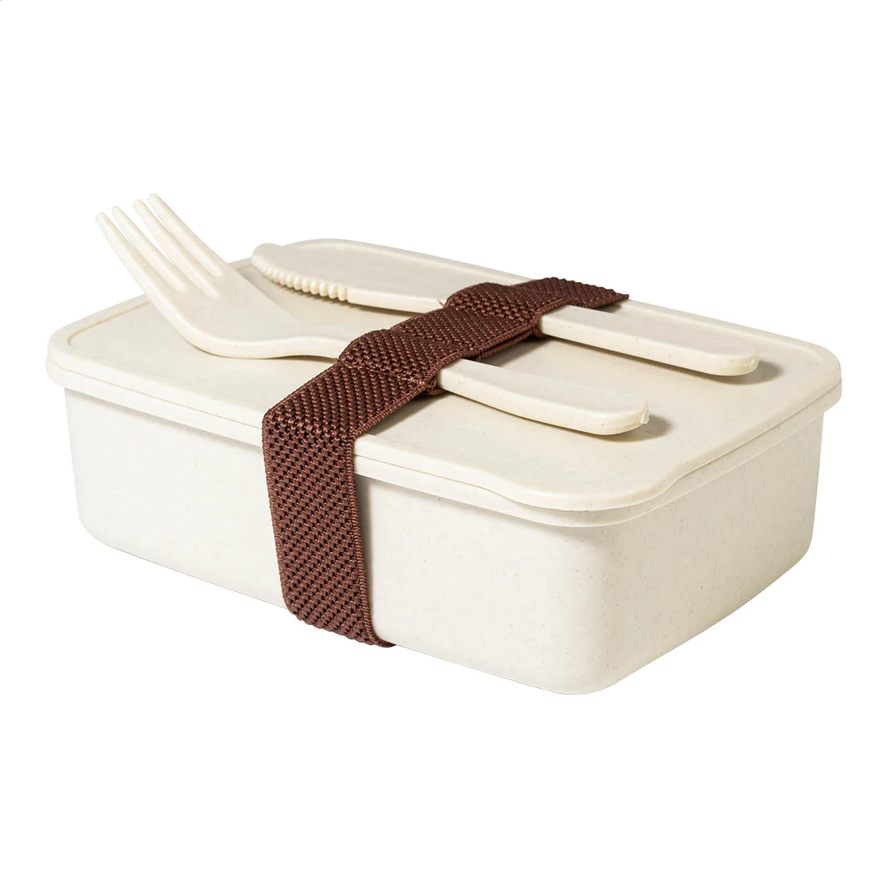 Lunchbox Adobo