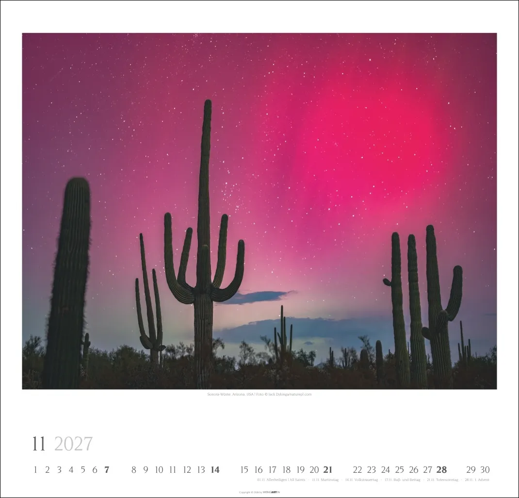 Wunder der Natur Wandkalender 2027 – Bild 12