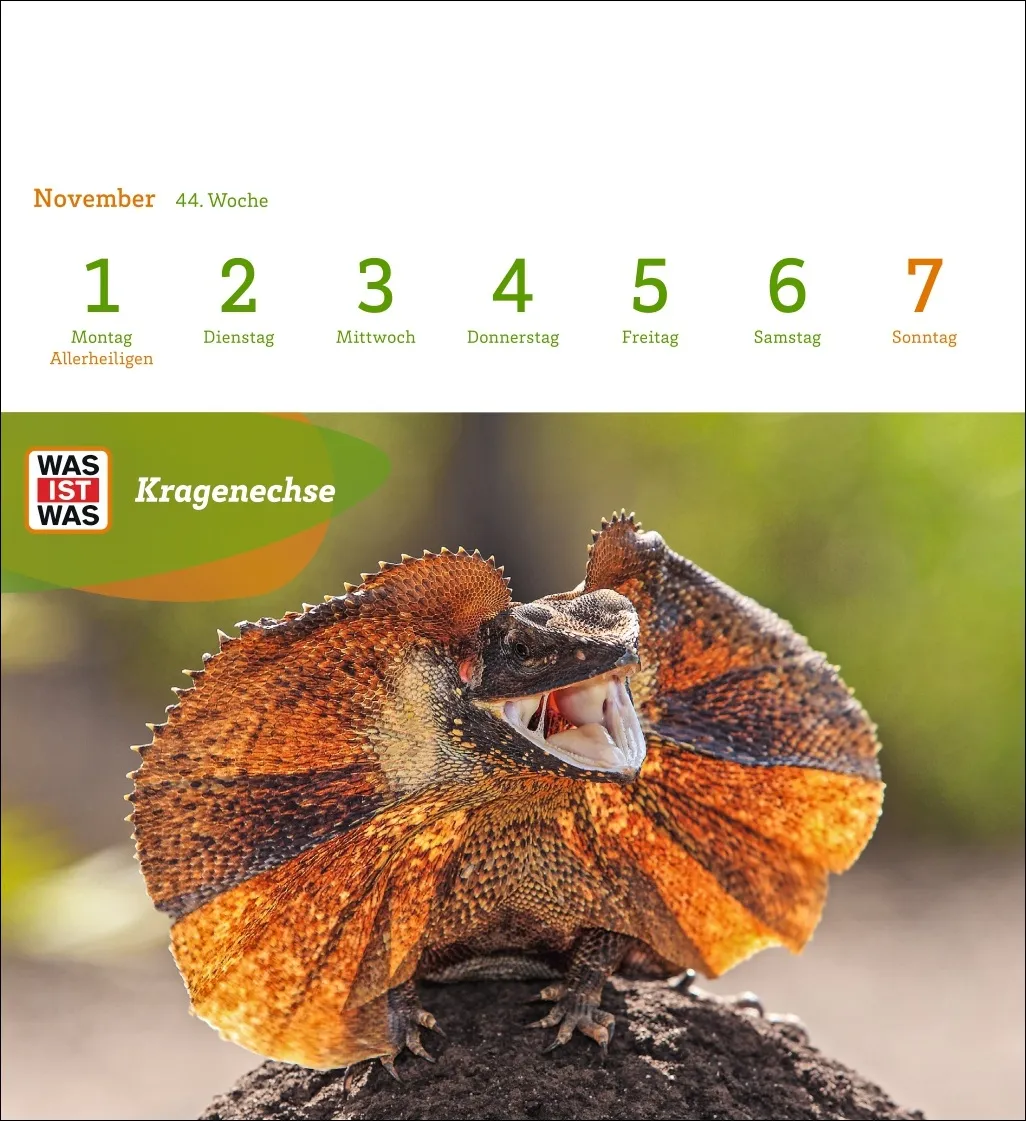 WAS IST WAS Geniale Tiere Postkartenkalender 2027 – Bild 4
