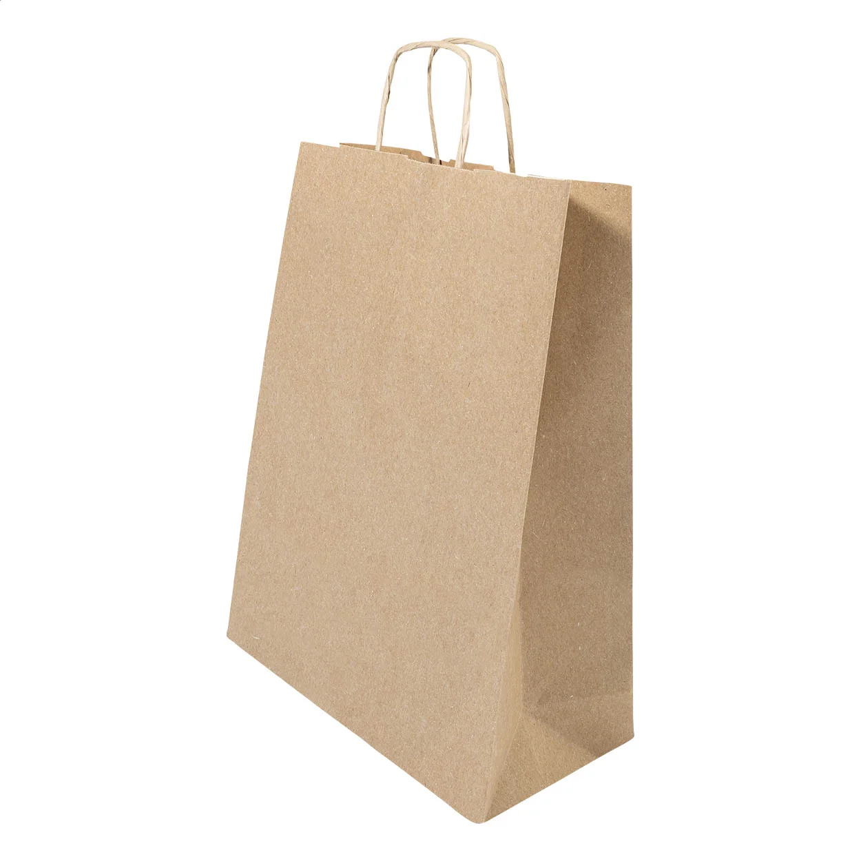 Papiergeschenktasche Papbag L, groß