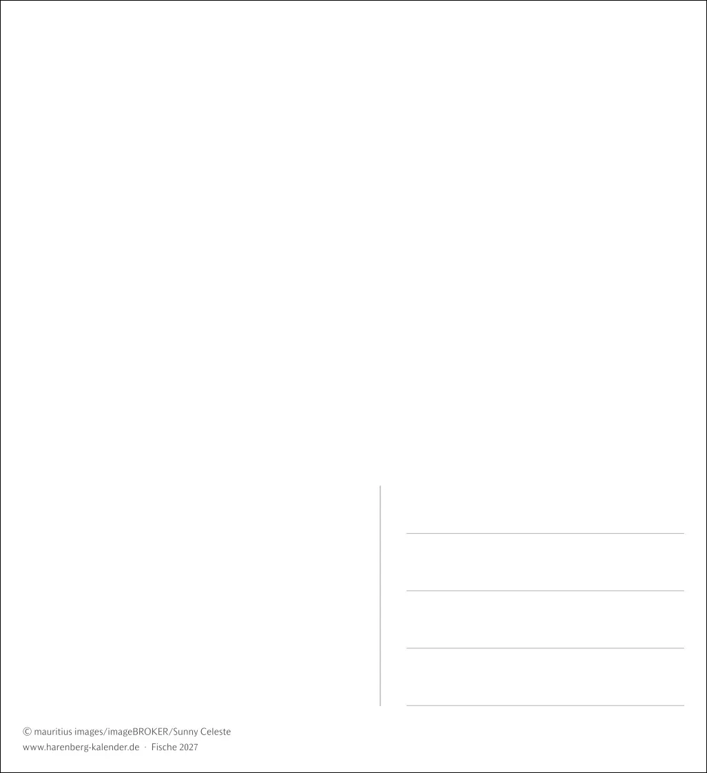 Fische Postkartenkalender 2027 – Bild 3