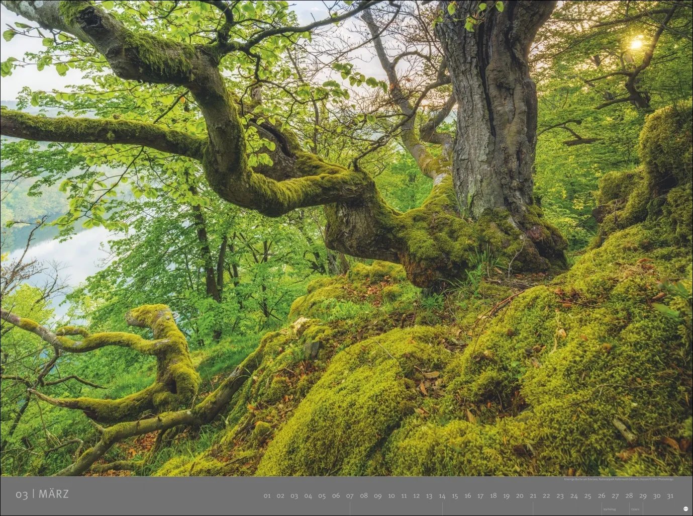 AvH Deutsche Nationalparks Wandkalender 2027 – Bild 4