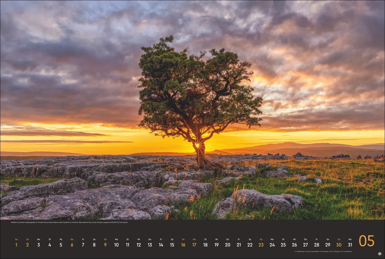 Horizonte Edition Wandkalender 2027 – Bild 6