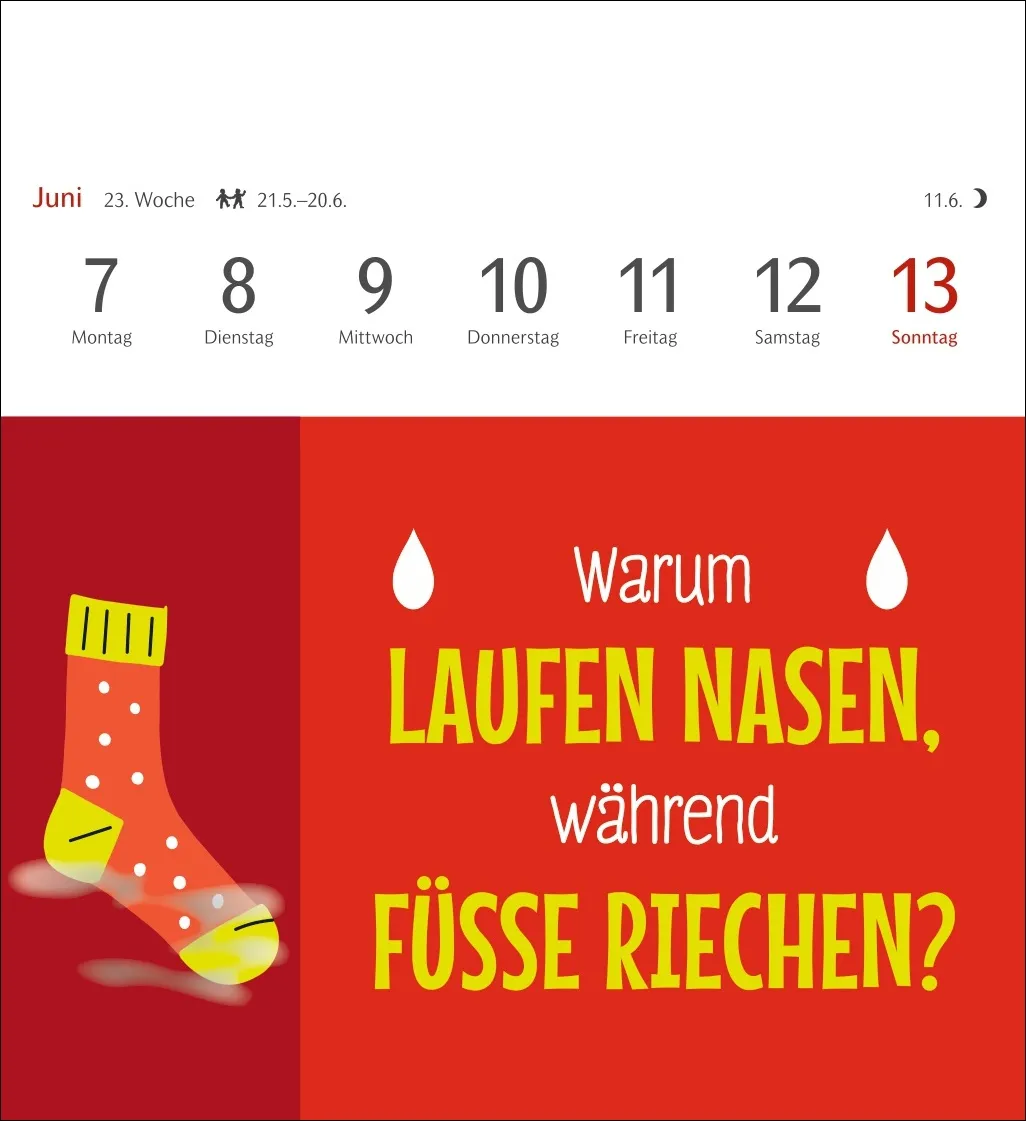 Der fette Vogel bricht den Ast Postkartenkalender 2027 – Bild 5