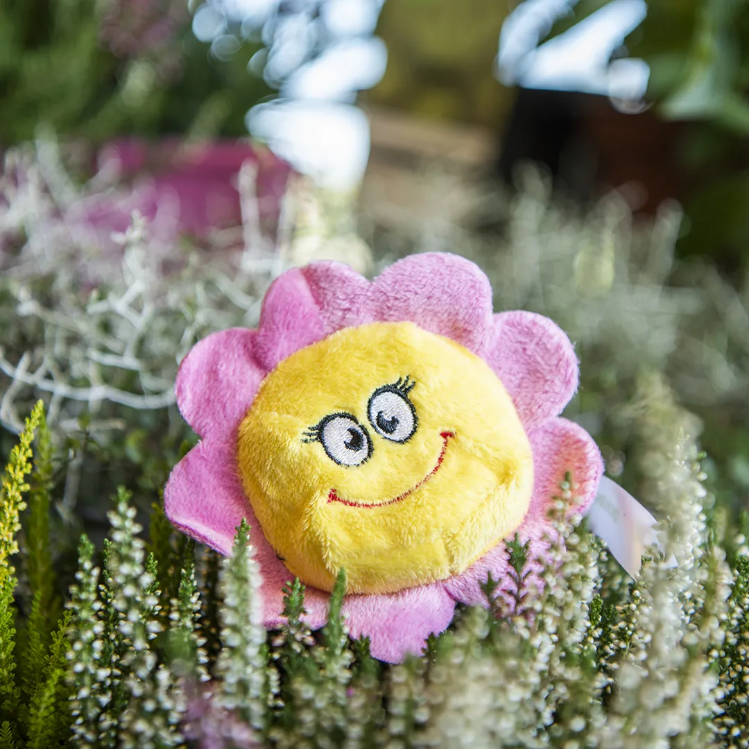 Schmoozies® Blume, multicolour – Bild 4