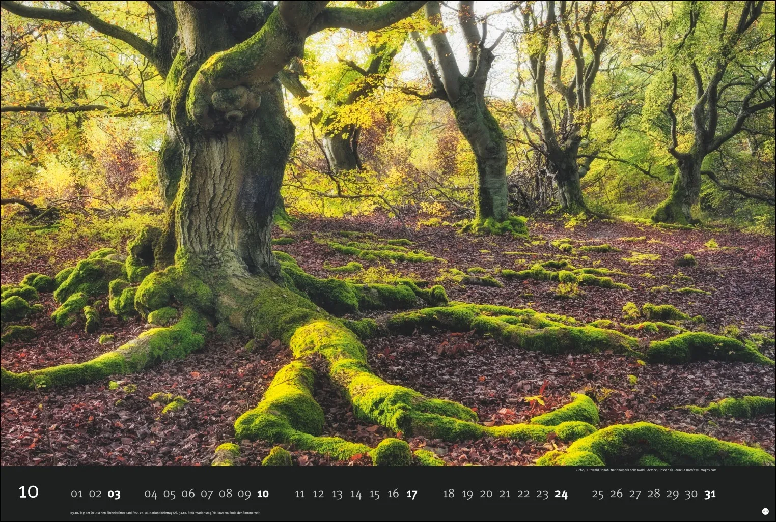 AvH Deutschlands Naturparadiese Wandkalender 2027 – Bild 11