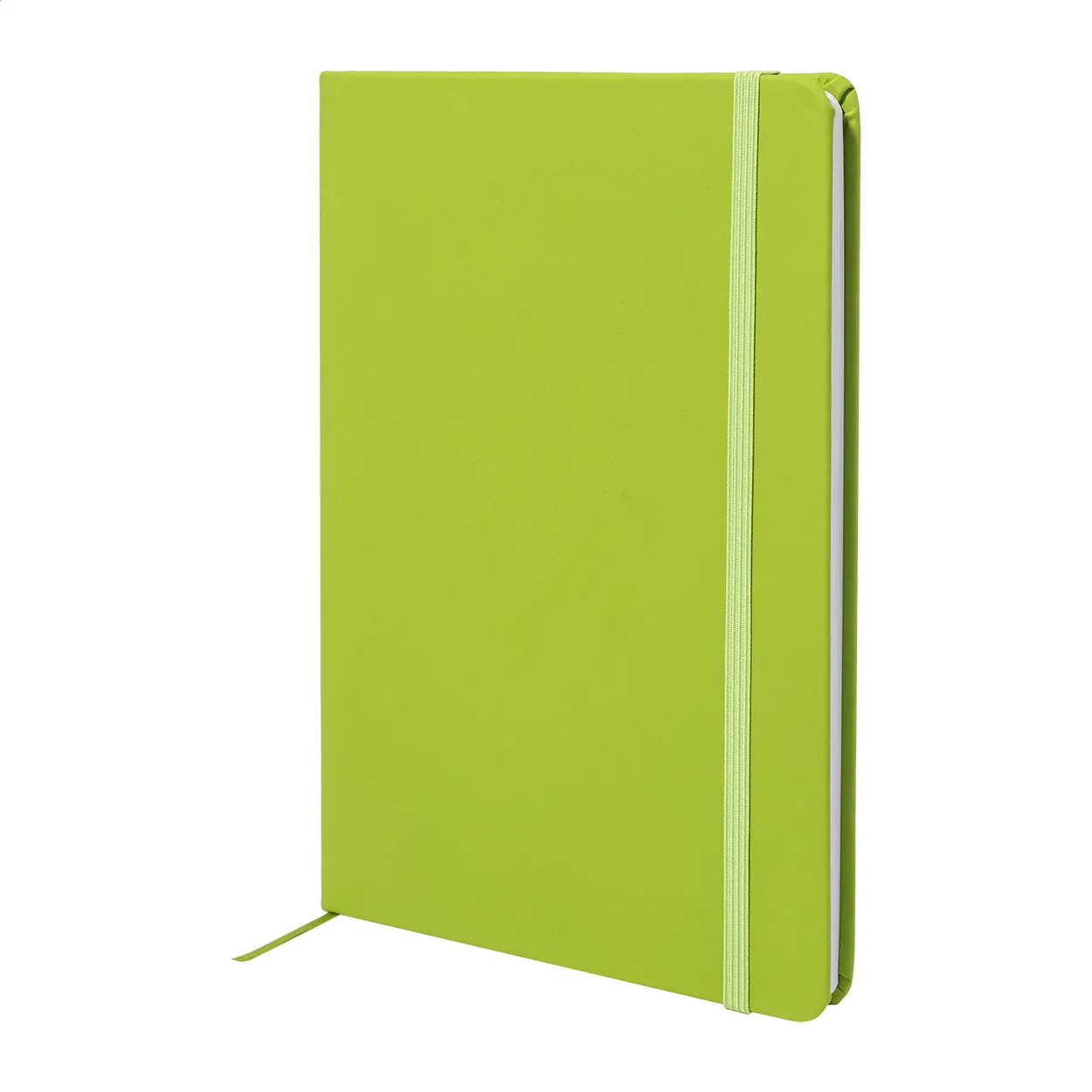 RPU Notizbuch Repuk Blank A5, lindgrün – Bild 3