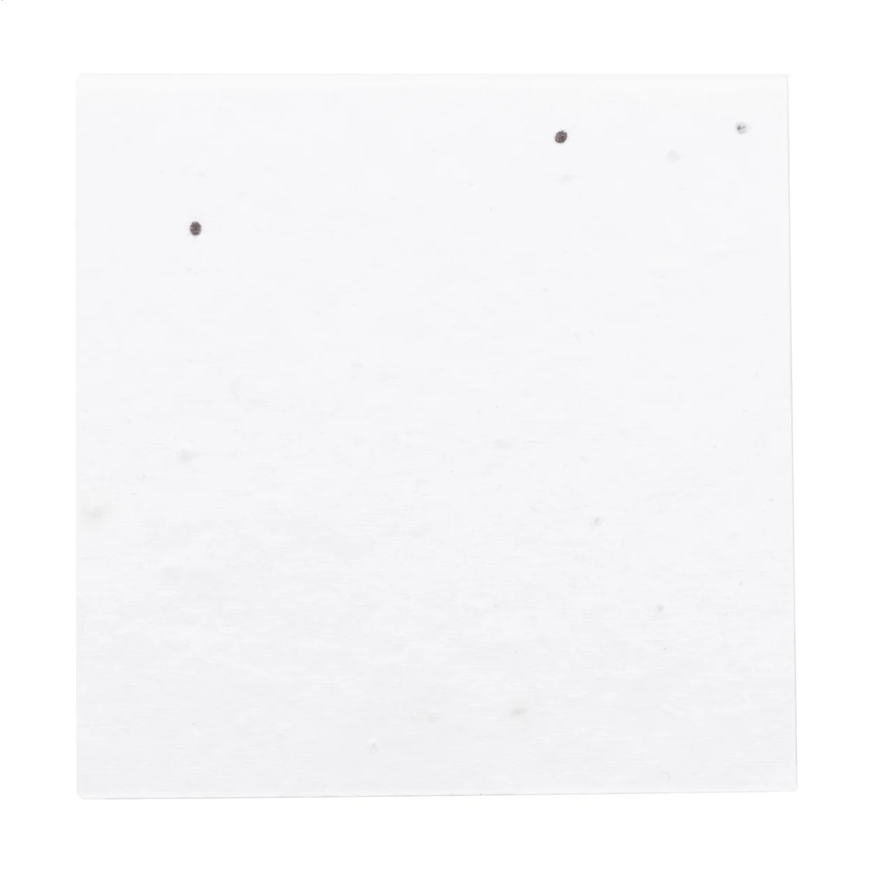 Individueller Haftnotizblock CreaStick Seed Note M, weiß – Bild 3