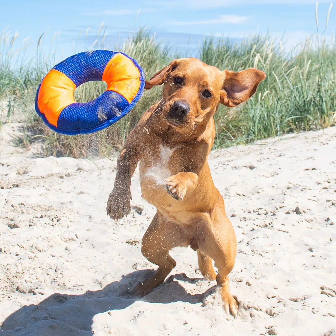 Hundespielzeug Flying Disc, gelb/blau – Bild 3