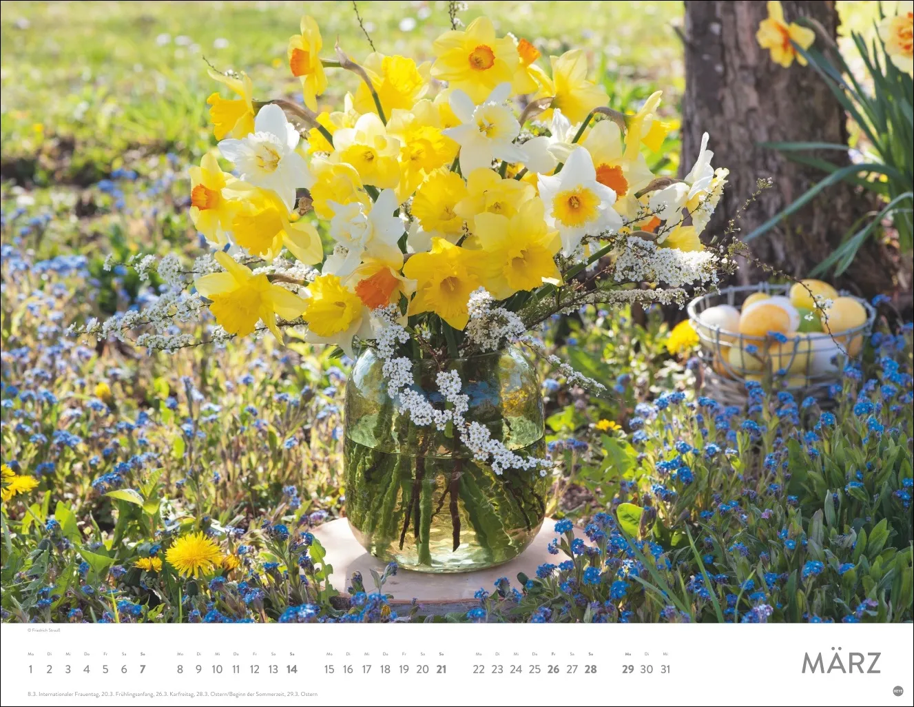 Blumenpracht Posterkalender 2027 – Bild 4