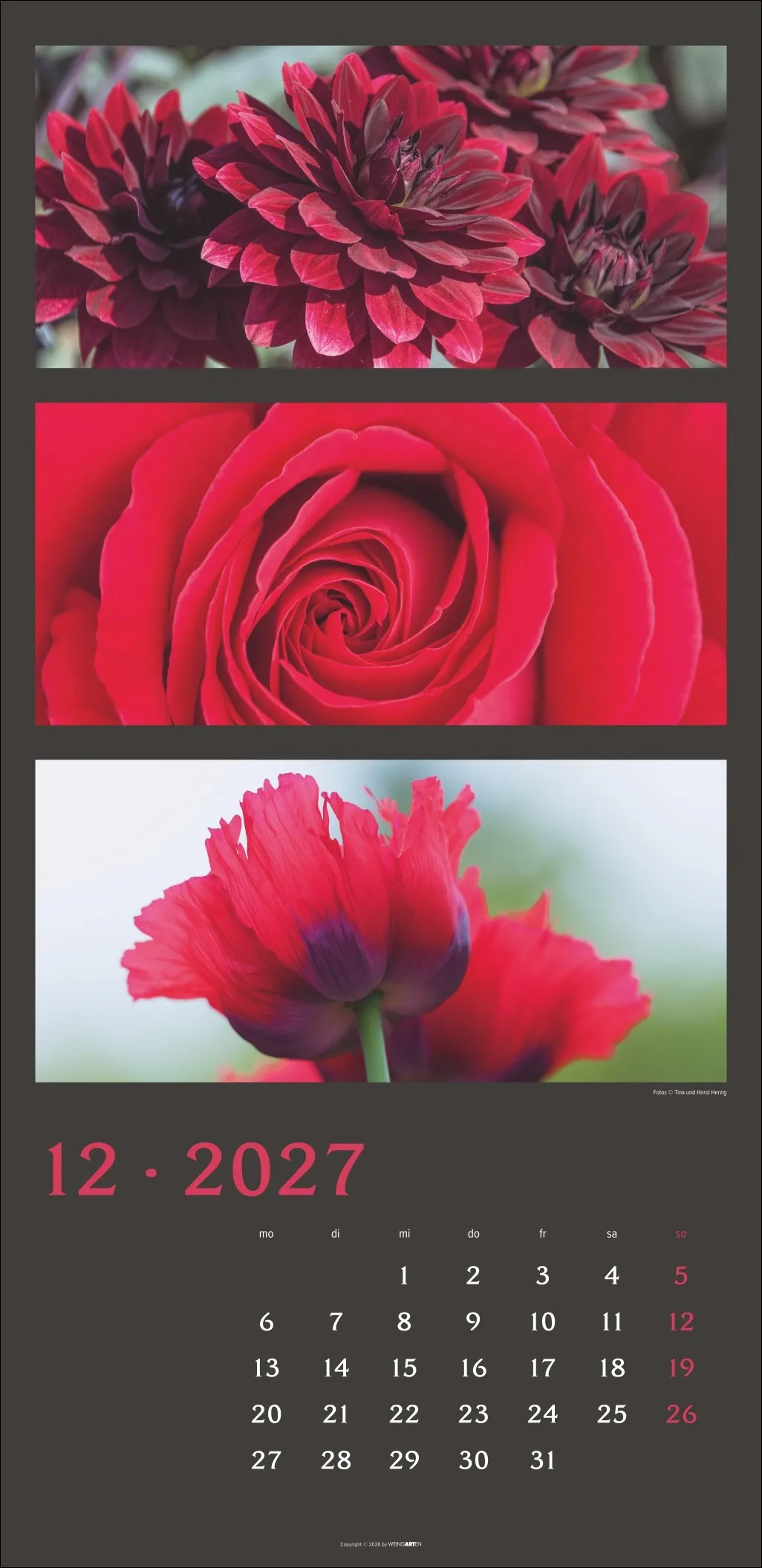 Die Farben der Natur Wandkalender 2027 – Bild 13