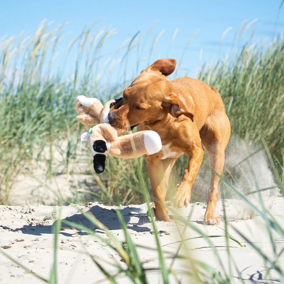Hundespielzeug RecycelFuchs, beige – Bild 6