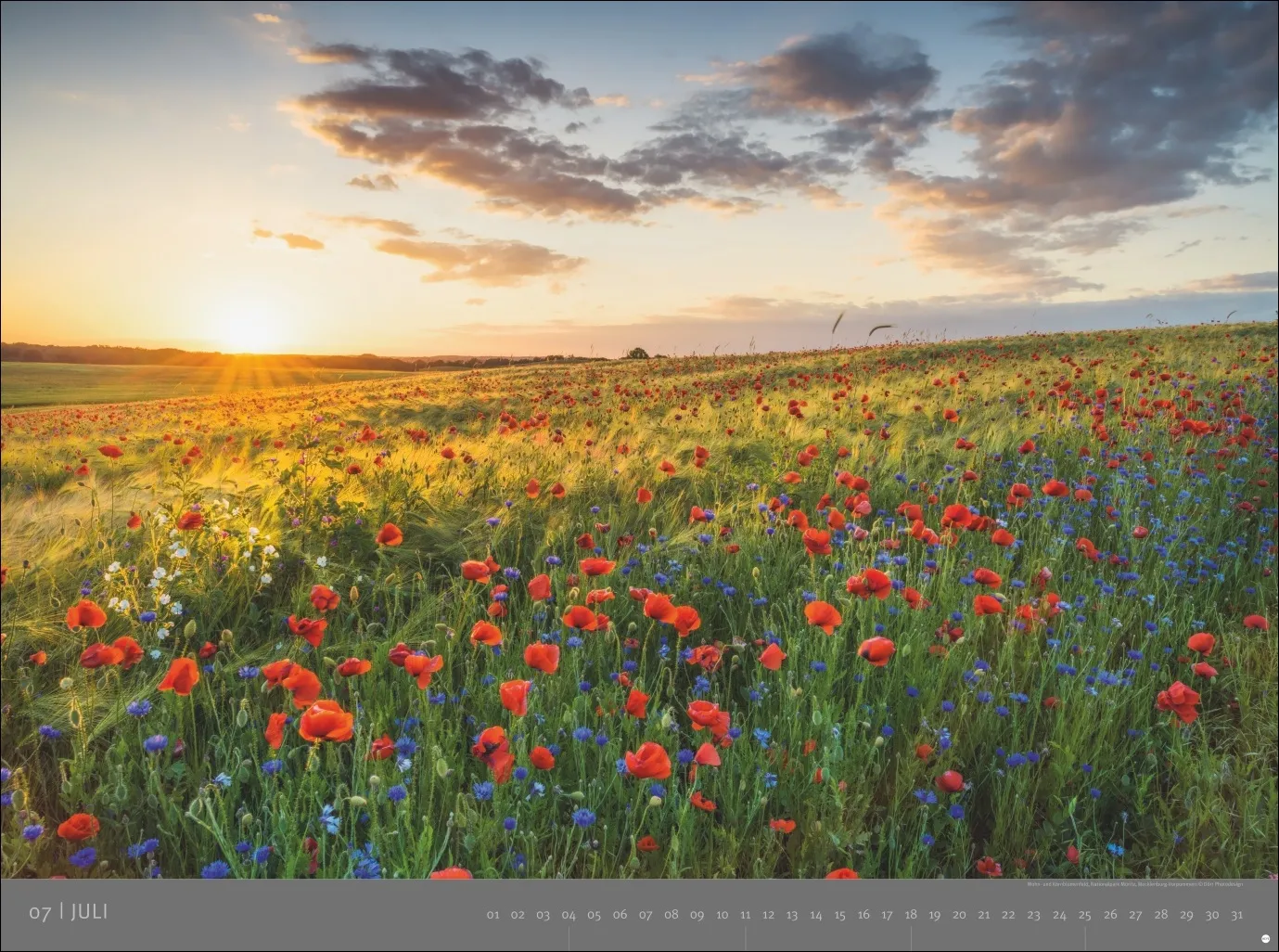 AvH Deutsche Nationalparks Wandkalender 2027 – Bild 8