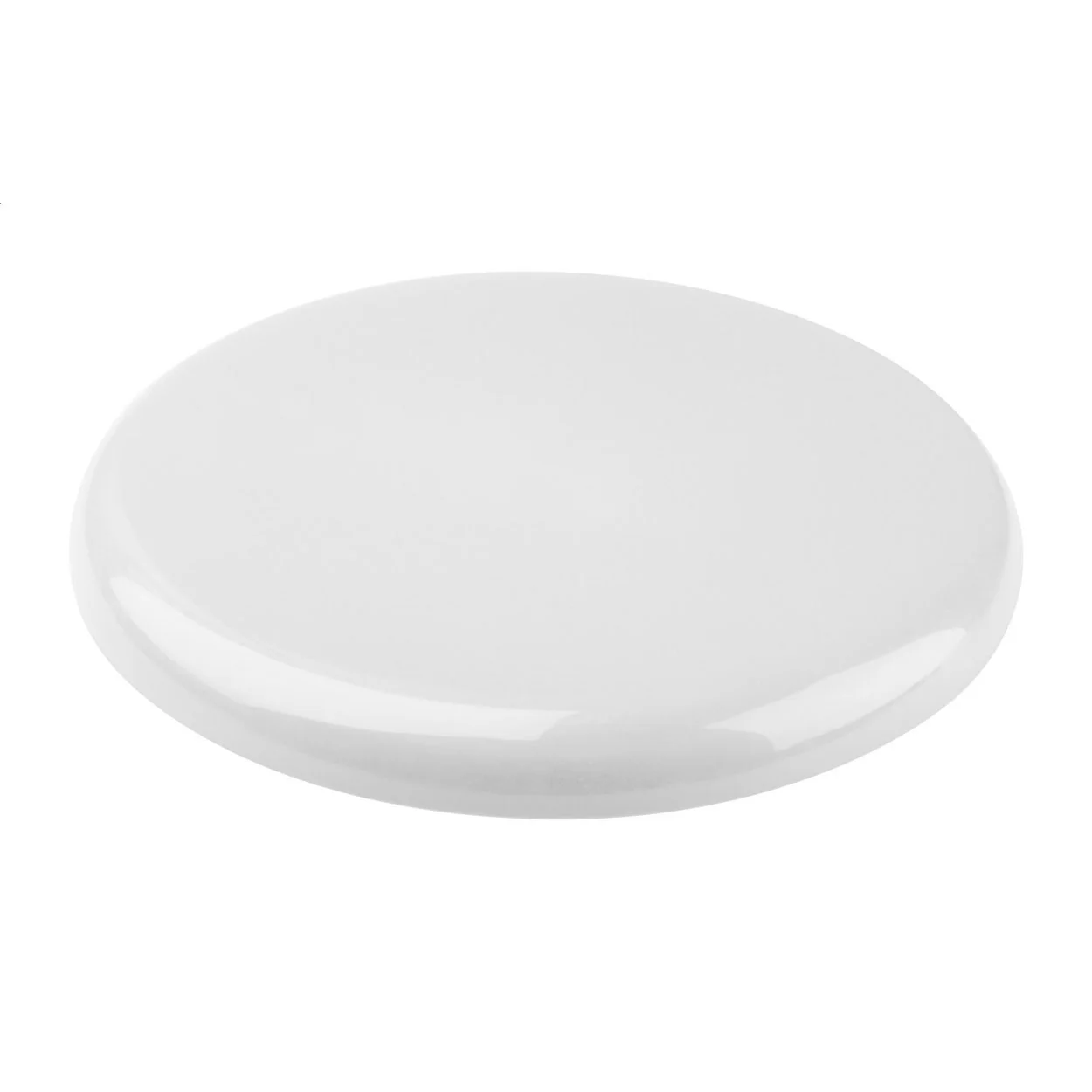 Frisbee Smooth Fly