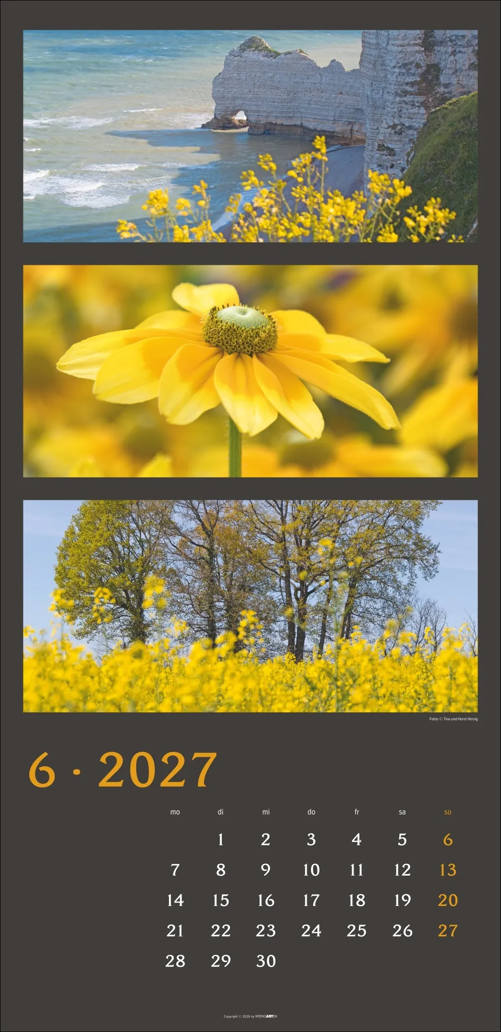 Die Farben der Natur Wandkalender 2027 – Bild 7